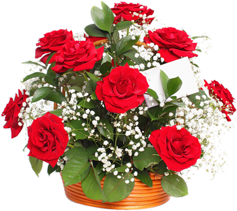 Gypsophila And Red Roses Bouquet (500x483)
