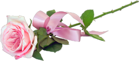 Transparent Roses Tumblr - Pink Roses Tumblr Png (500x250)
