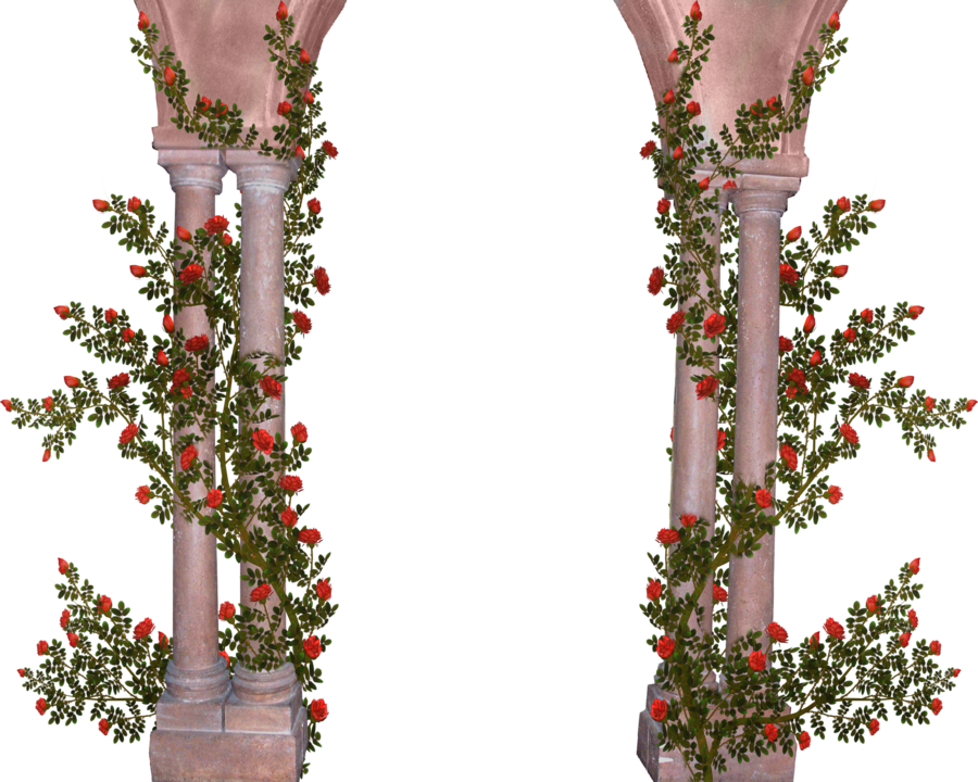 Rose Covered Pillars By Sherryjane On Deviantart - Pillar With Flowers Png (900x720)