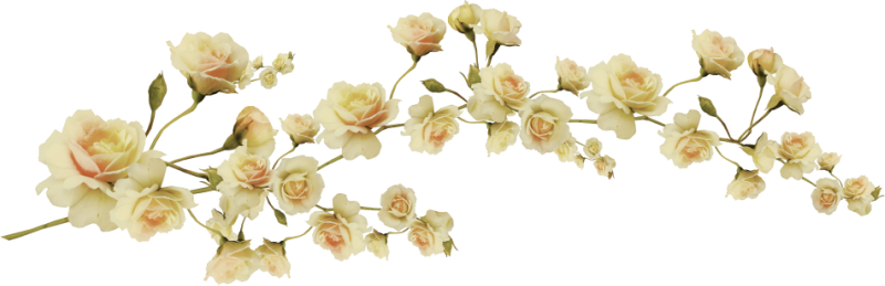 1000 Images About Png Series - Aesthetic Flower Transparent (800x259)