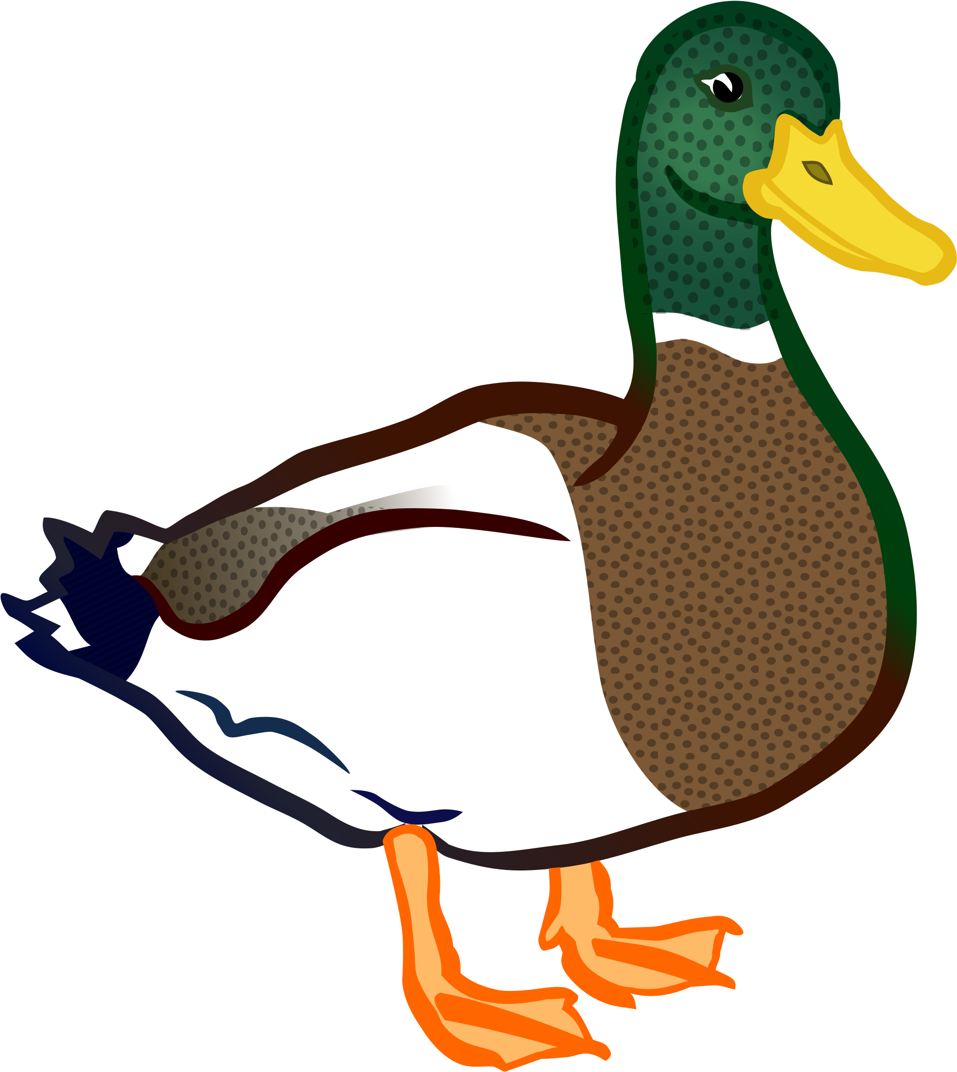 Duck - Coloured - Bebek Vector (2250x2400)