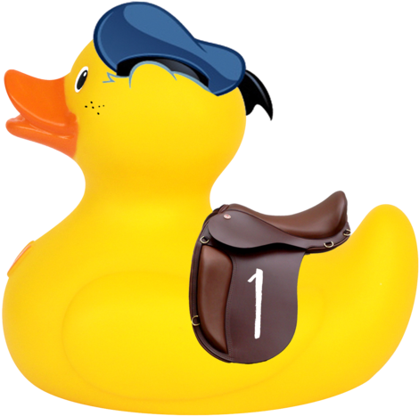 Strapping Duck Dewey - Duck (480x480)