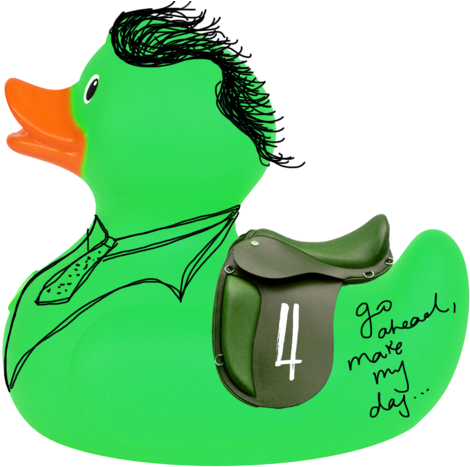 Dirty Duck Harry - Mallard (480x480)