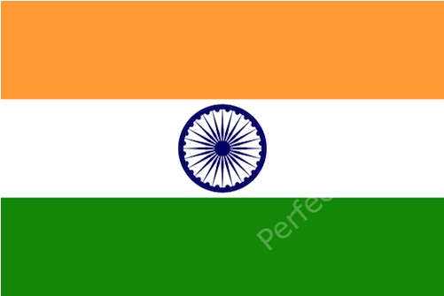 India Flag - Dls 17 India Logo (500x500)