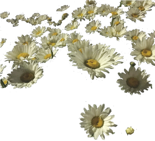 I Spent 3 Hours Trying To Make This Asshole Transparent - Aesthetic Lockscreen (500x502)