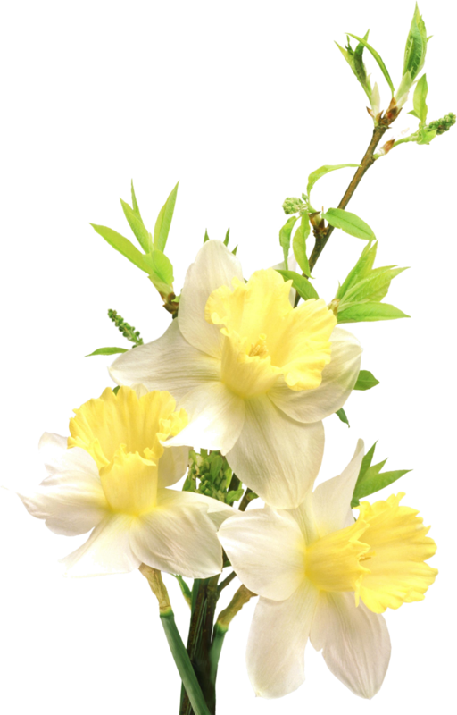 Evo-smart Flower Vase Lamp Night Light Smart Led Vase (512x800)