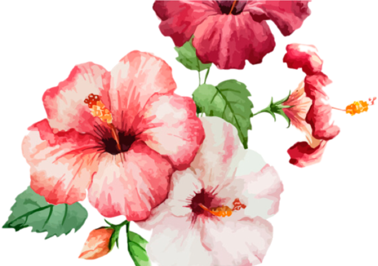Flowers Stickers Transparent Aesthetic Cute Filter - Flores Para Dibujar A Color (1368x855)