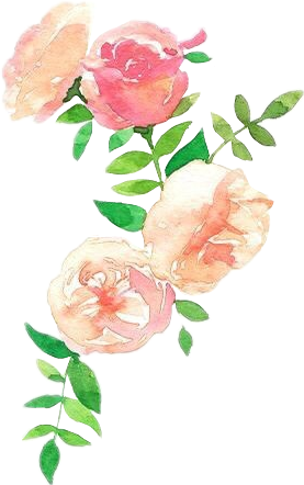 Report Abuse - Peach Watercolor Flowers (277x442)