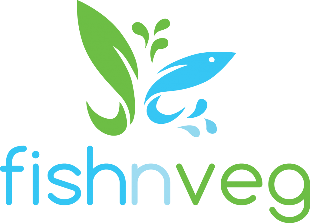 Fish N Veg - Fitbit Versa Logo Png (1024x737)