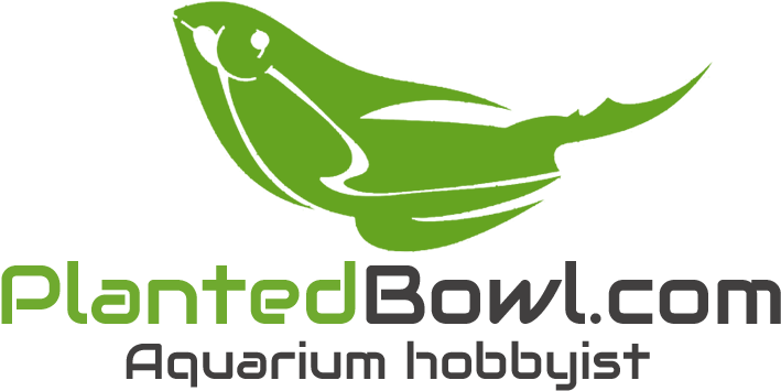 Com Planted Aquarium Blog Logo - Natural Foods (853x484)