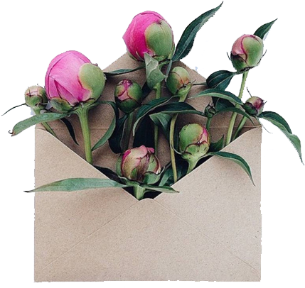 Aesthetic Tumblr Vintage Flowers Love - 12 Maggio Santa Rossana (500x488)