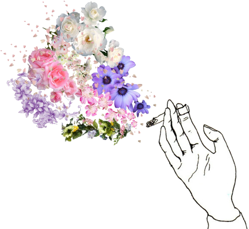Aesthetic Lana Del Rey Inspired Indie Flowers Tumblr" - Flowers Coming Out Of Cigarette (500x461)