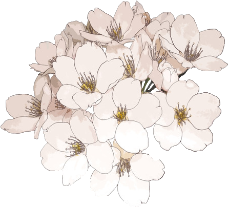 Tumblr Ship Transparent - Transparent Flowers (500x423)