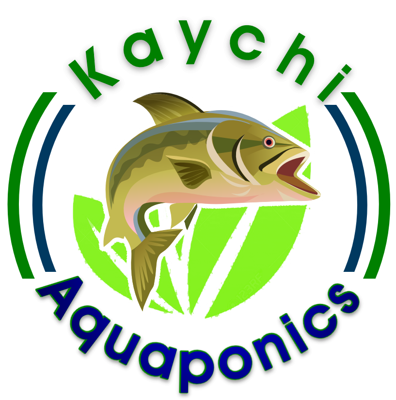 Kaychi Aquaponics - Aquaponics (1111x1111)
