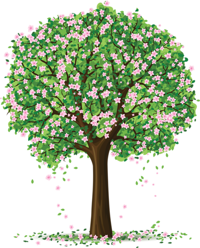 Clipart Of Trees And Flowers Spring Drawings Pinterest - Tree Png Art (404x500)
