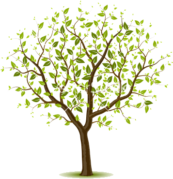 Vectors Illustration Of Tree With Green Leafage - Give The Gift Of Life Be An Organ Donor Picture Frame (380x400)