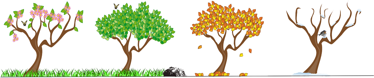 Spring Season Clip Art Clipart - Seasons Tree Clip Art (1280x400)