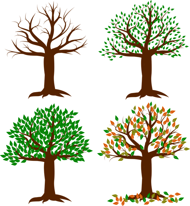 Spring Tree Clipart 20, - Four Seasons Clipart Tree Transparent (662x720)