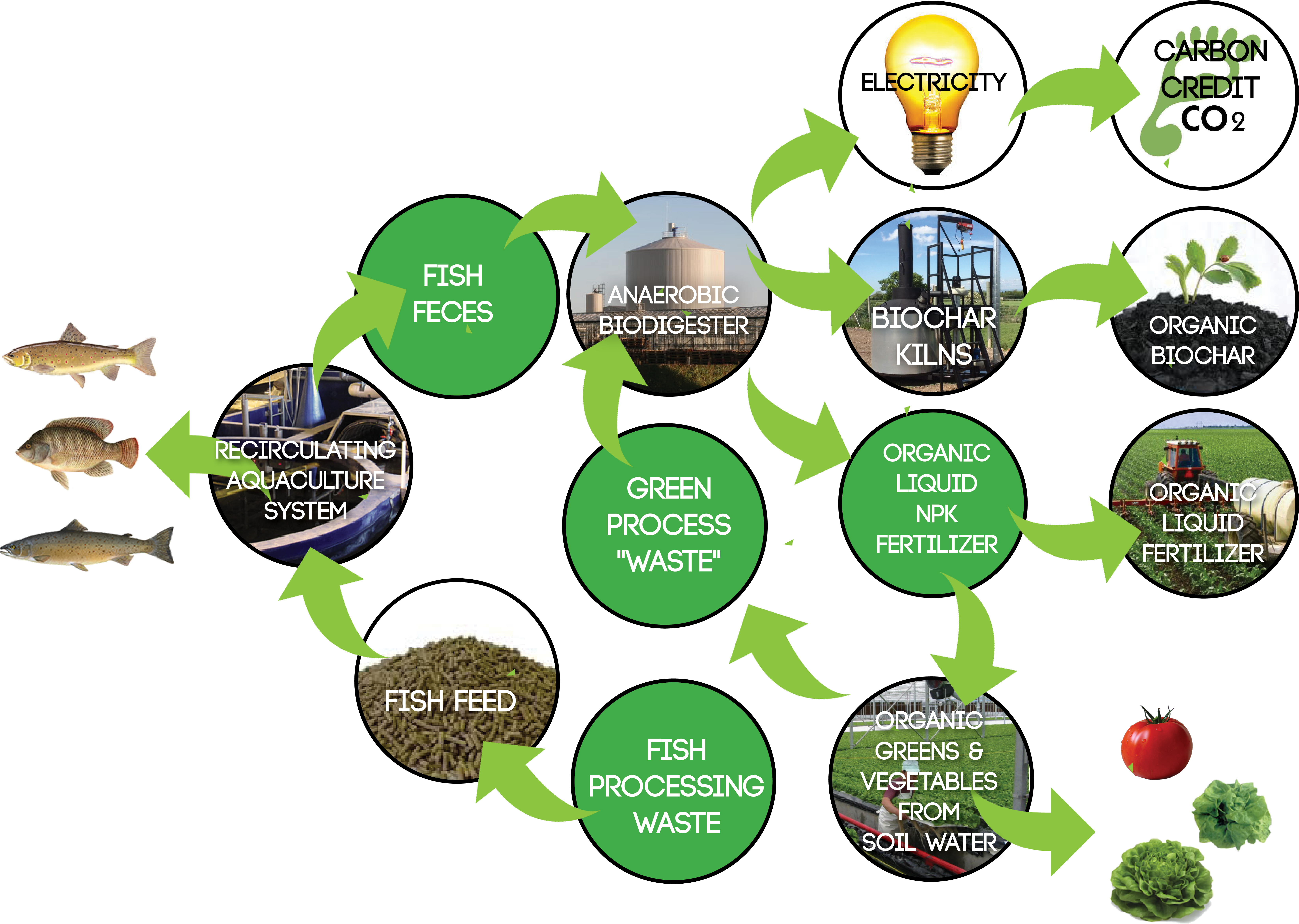 Location Versatility - Christmas Tree (7200x5400)