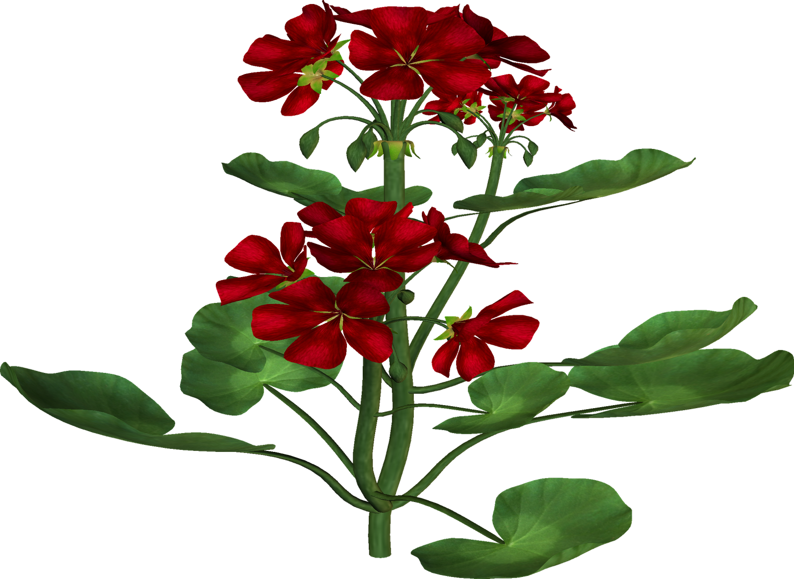 Flowers And Trees Clipart - Png Image Flowers Tree (1600x1166)