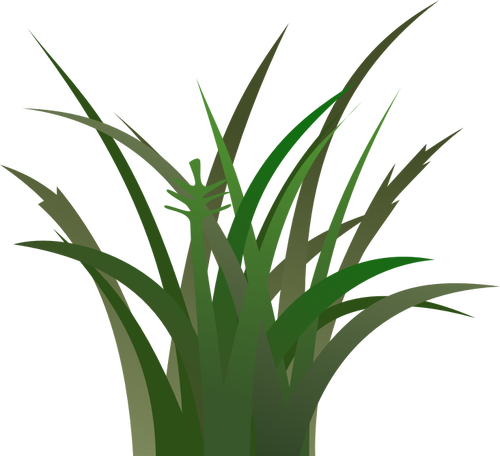 Grass Background Clipart - Vegetation Clipart (500x456)
