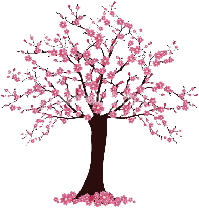 Cherry Blossom Tree Drawing - Cherry Blossom Tree Easy Drawing (450x450)