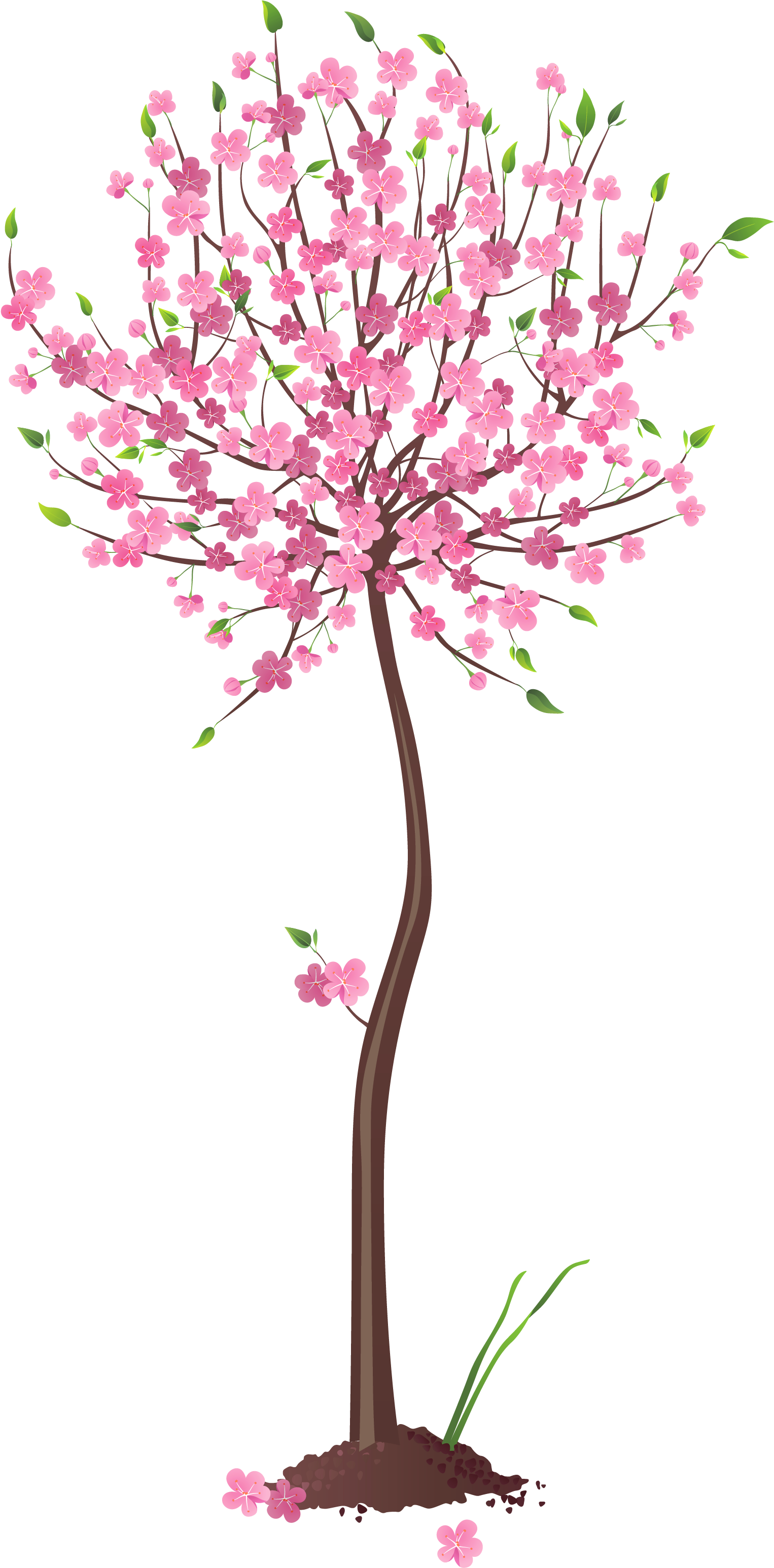 Spring Pink Tree Png Clipart - Pink Tree Clipart (1858x3289)