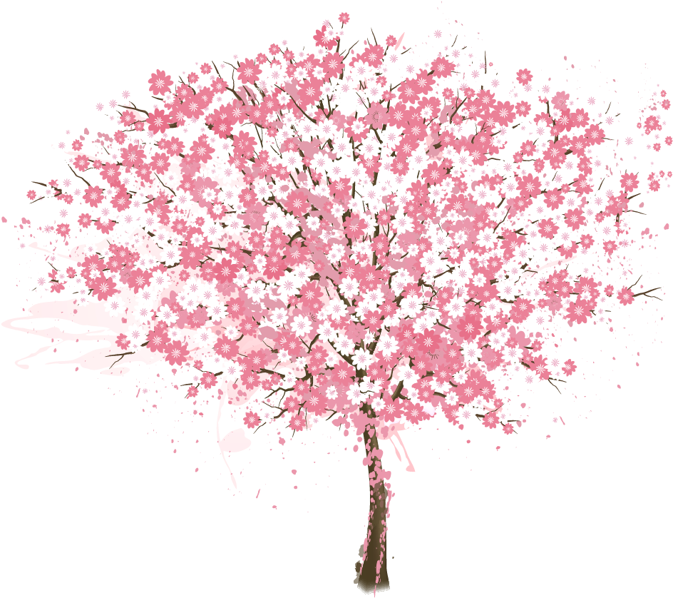 Cherry Blossom Tree Vector Painted Pink 1019 - Cherry Blossom Tree Vector Painted Pink 1019 (1019x837)