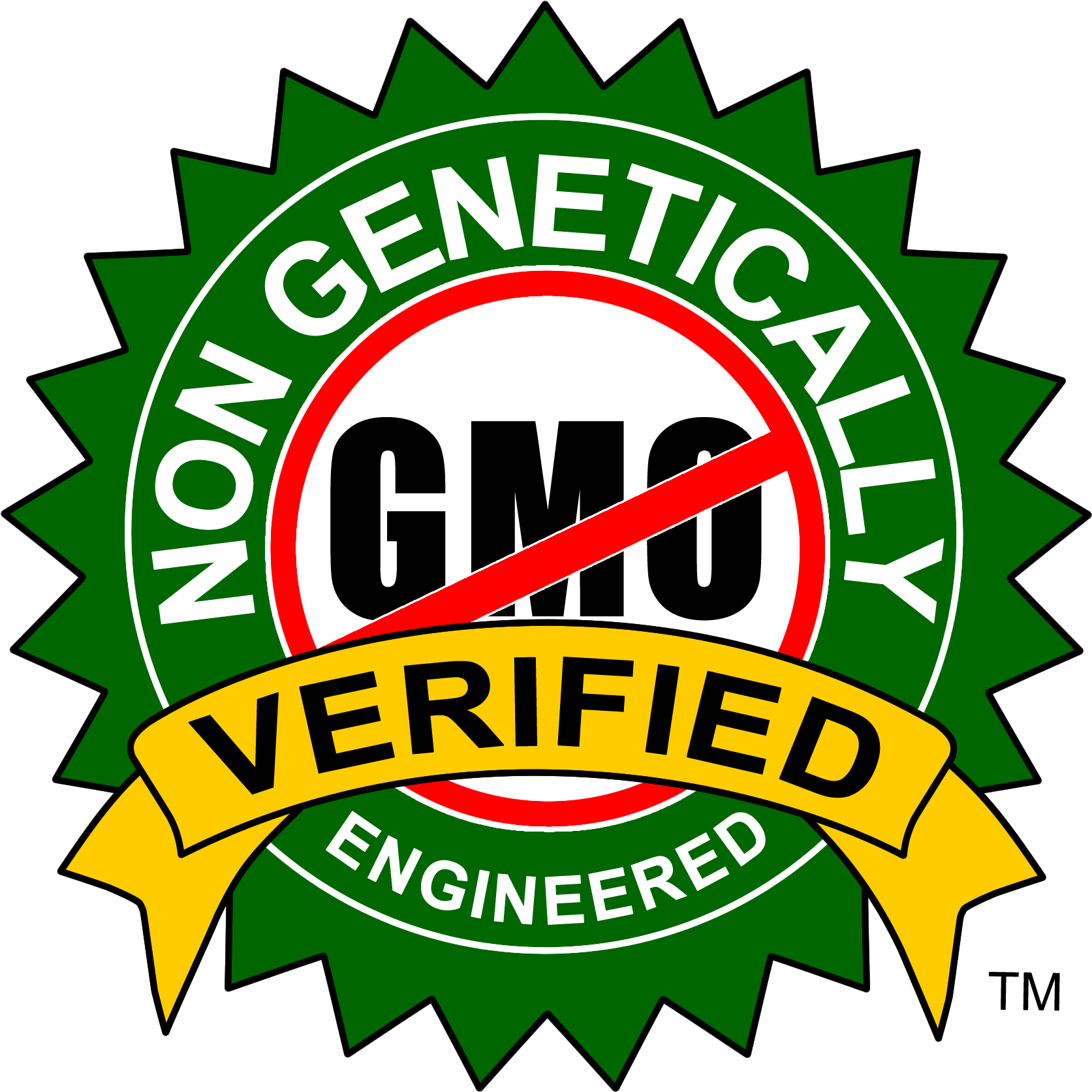 Non Gmo Verified - 2013 Top Dentist Phoenix Magazine (1978x1856)