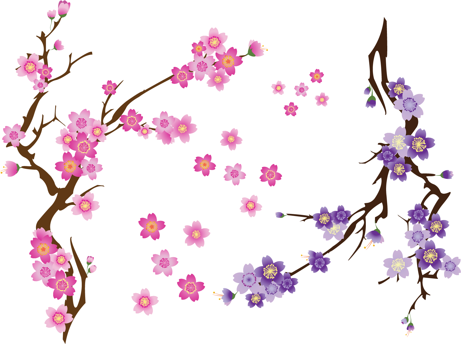 Сакура пнг рисунок