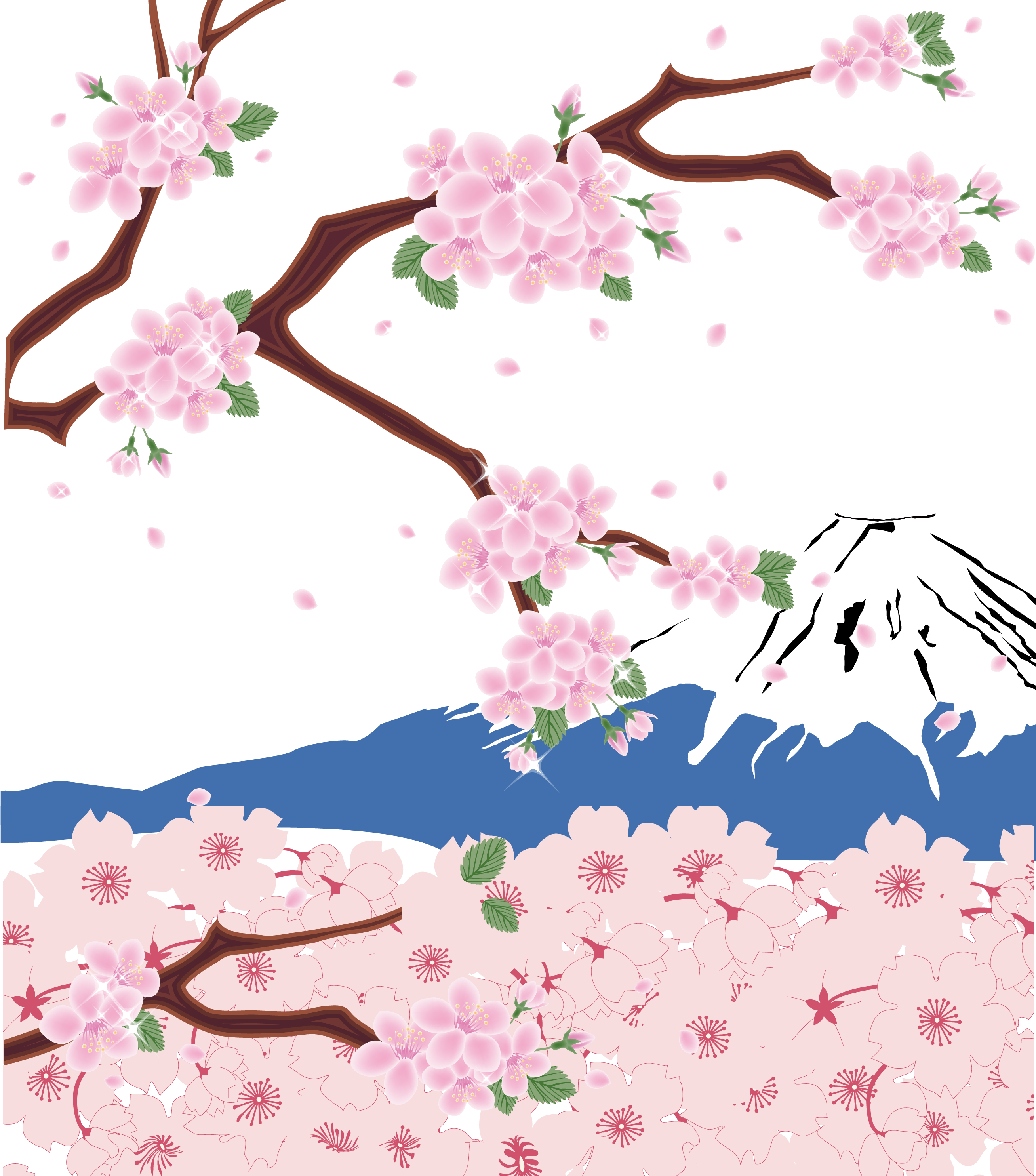 Mount Fuji Cherry Blossom Download - Mount Fuji (5455x3385)