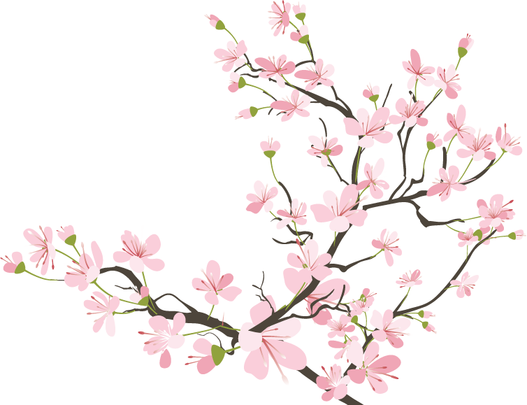 Flowers Cherryblossom Sakura Kawaii Tumblr Ftestickers - Cherry Blossom Png (754x579)