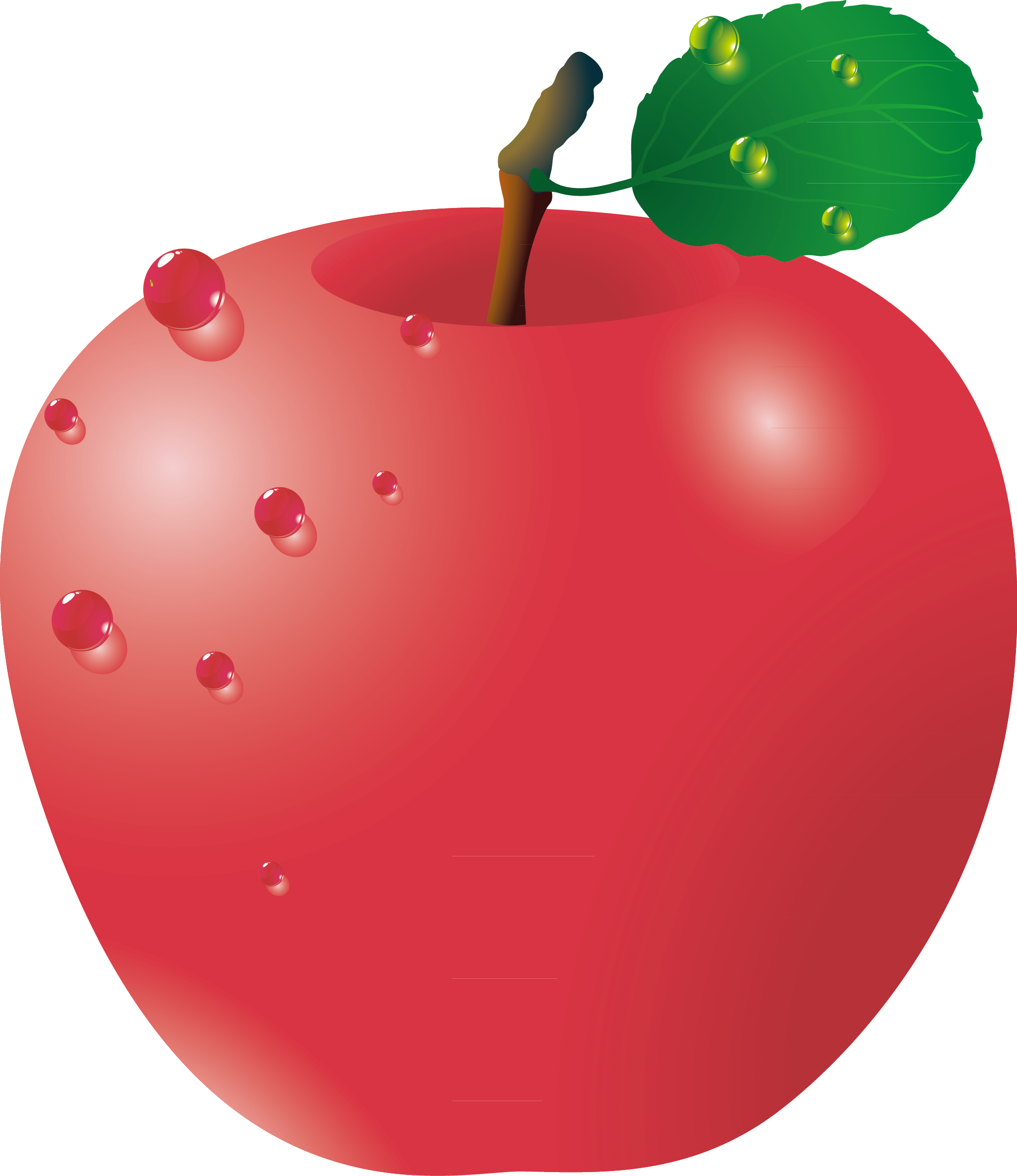 Apple Red Adobe Illustrator - Apple Red Adobe Illustrator (2080x2403)