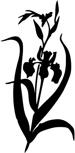 Silhouette, Flower, Free, Iris, Plant, Garden, Bush - Iris Clipart Black And White (320x640)