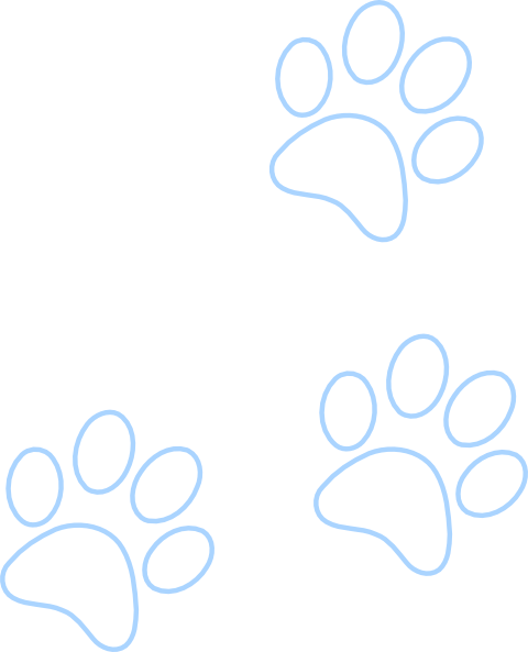 Blue Paw Outline Pattern - Circle (480x593)