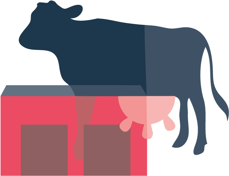 Illustration Of A Cow And Barn - Illustration Of A Cow And Barn (752x593)
