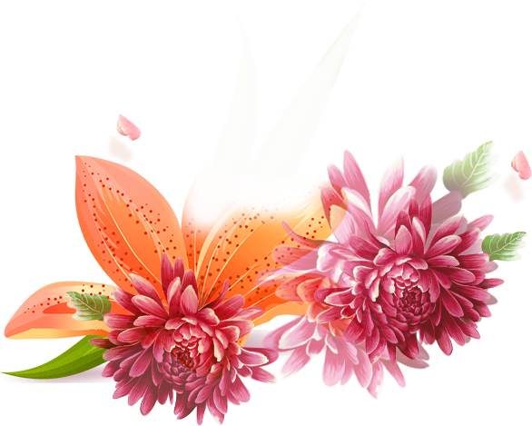 Chrysanthemum Adobe Illustrator Clip Art - Chrysanthemum Adobe Illustrator Clip Art (595x525)