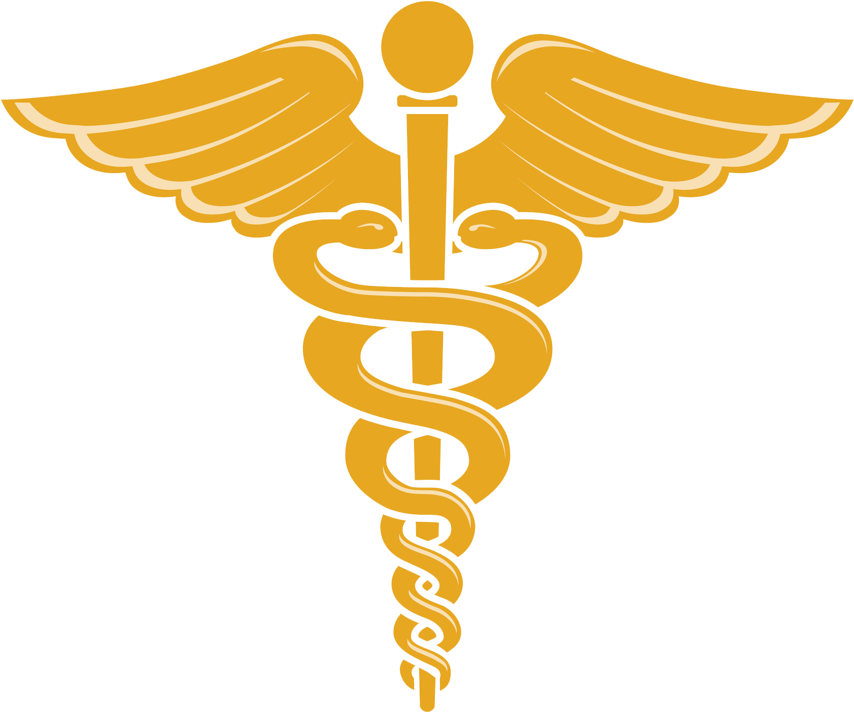 Doctor Symbol Caduceus Png File - Doctor Symbol (1970x1522)