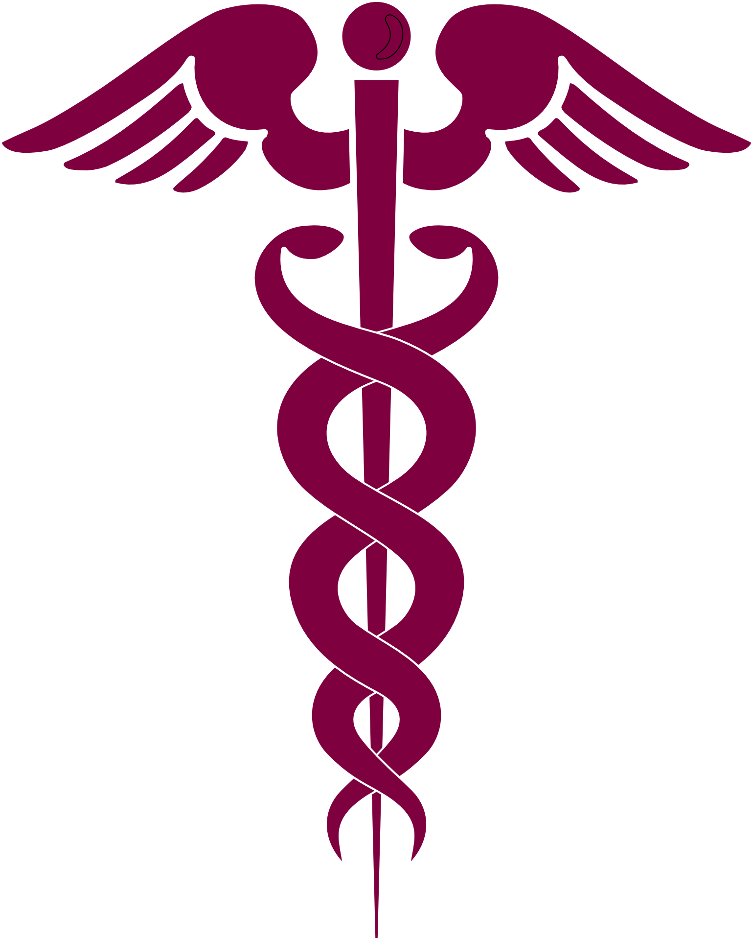 Medicine Caduceus Medical Snake - Medusa Symbol Greek Mythology (1539x1920)