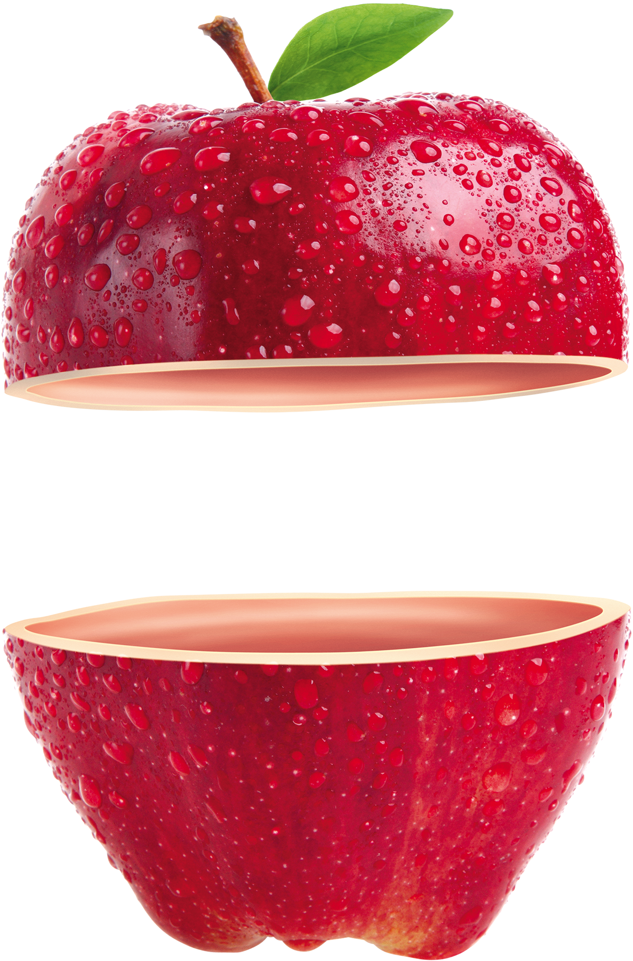 Apple Adobe Illustrator - Apple Adobe Illustrator (2270x2109)