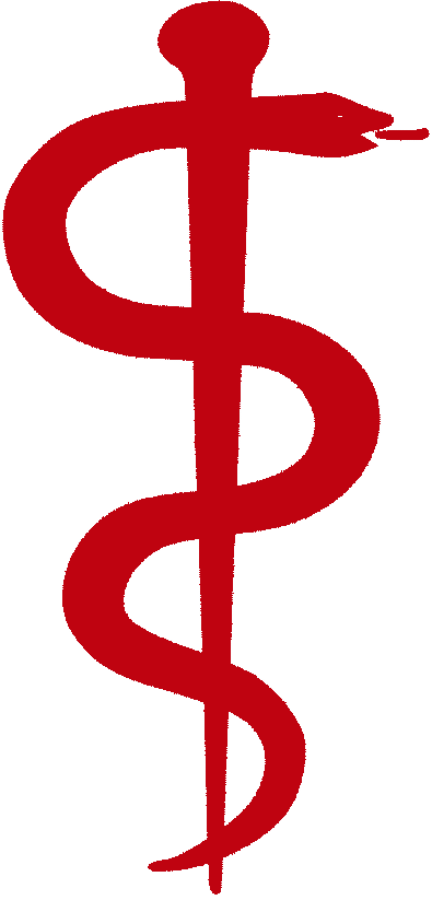 Emmanouil G - Alexandrakis - Medical Rod Of Asclepius (395x823)