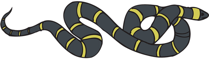 Snake Black Yellow Striped Reptile Slither - Reptile (680x340)