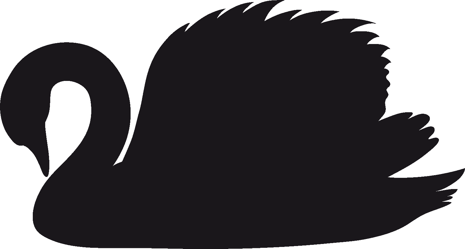 Black Swan Clipart Graphic - Black Swan Clipart Transparent (1574x843)