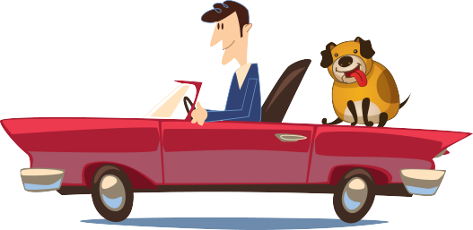 Live - Car Rental (527x257)