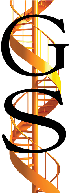 Social Determinants Of Health: An Interdisciplinary (319x677)