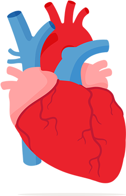 Cartoon Picture Of A Heart - Heart (435x480)