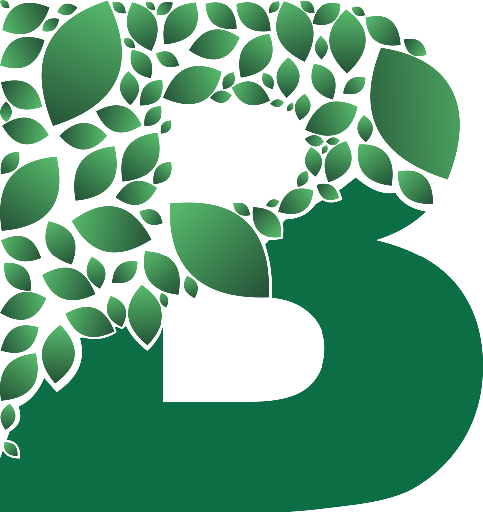 Free Letter B Logo Design - Corel Draw Logo Design (969x1026)