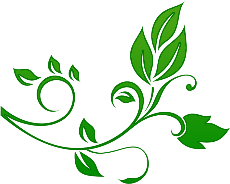Flower Floral Design - Floral Png (1024x768)