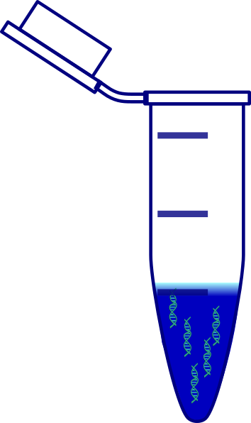 Eppendorf Tube (354x596)