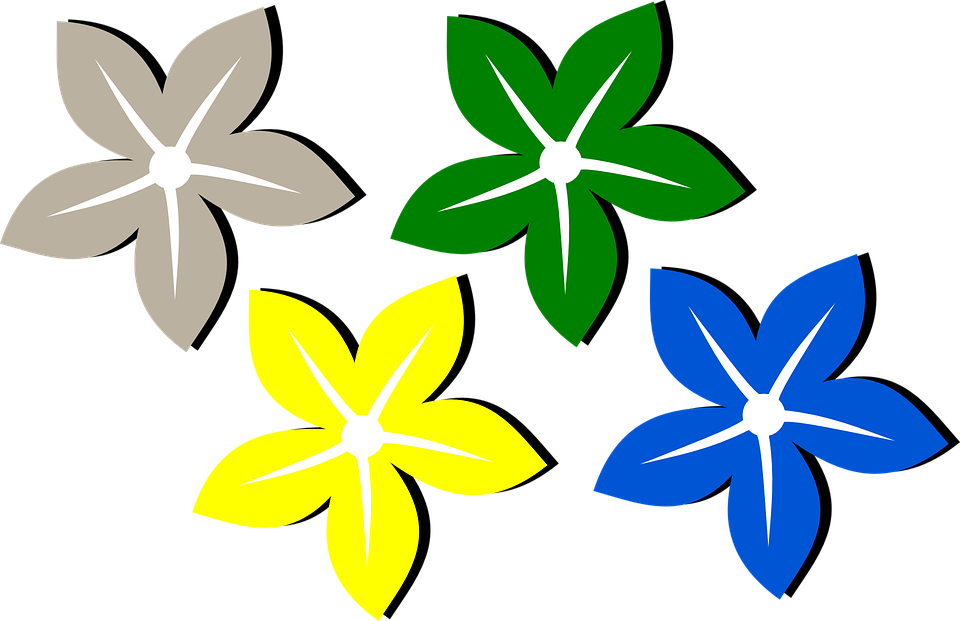 Collection Of Graphic Flower Designs - Flower Design Clipart (960x621)